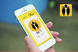 東方智啟科技APP開發(fā)-知了電商手機軟件開發(fā)案例