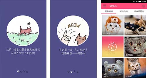 開發(fā)養(yǎng)貓人士必備app