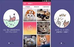 東方智啟科技APP開發(fā)-開發(fā)養(yǎng)貓人士必備app 新手鏟屎官知識(shí)庫