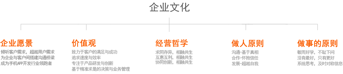 企業(yè)文化:企業(yè)愿景、做事原則、價值觀等