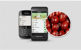 東方智啟科技APP開發(fā)-生鮮配送安卓軟件開發(fā)
