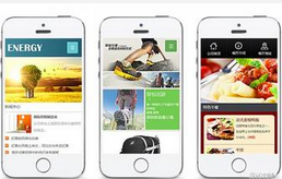 快消品行業(yè)手機(jī)軟件開(kāi)發(fā)