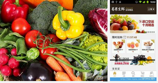東方智啟科技APP開發(fā)-生鮮配送手機(jī)軟件開發(fā)整合配送資源