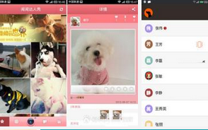 寵物社區(qū)服務APP定制開發(fā)