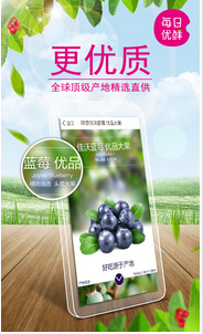 東方智啟科技APP開發(fā)-生鮮電商O2OAPP開發(fā)如何抓住萬億級市場商機