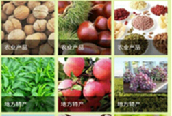 東方智啟科技APP開(kāi)發(fā)-農(nóng)業(yè)電商APP開(kāi)發(fā)流程
