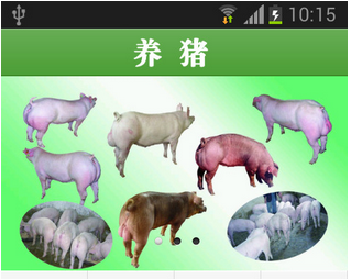 東方智啟科技APP開發(fā)-互聯(lián)網(wǎng)+大潮下 養(yǎng)豬APP定制開發(fā)勢在必行