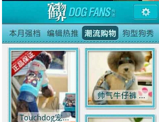 東方智啟科技APP開發(fā)-寵物軟件開發(fā)該如何引爆寵物市場
