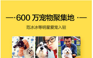 東方智啟科技APP開發(fā)-寵物社區(qū)app開發(fā) 該如何收割粉絲