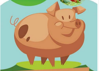 東方智啟科技APP開發(fā)-解讀養(yǎng)豬APP開發(fā) 滿滿都是生意經(jīng)