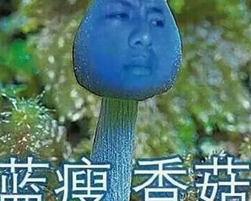 東方智啟科技APP開發(fā)-網(wǎng)約車新政 藍(lán)瘦香菇 