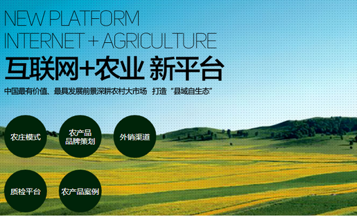 東方智啟科技APP開發(fā)-1700億 農(nóng)村電商市場很大 
