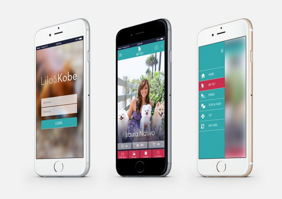 東方智啟科技APP開發(fā)-我伙呆 原來還有這么多奇葩的項目 