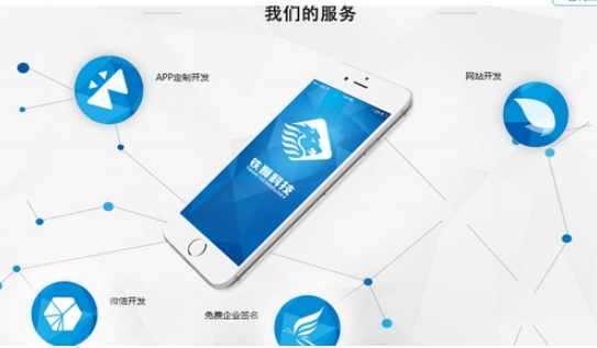 服務行業(yè)app開發(fā)如何趕上雙十一