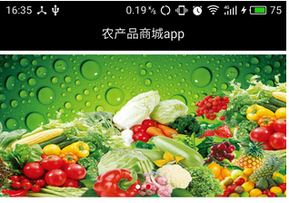 東方智啟科技APP開(kāi)發(fā)-綠色農(nóng)產(chǎn)品商城app開(kāi)發(fā)讓人們健康生活