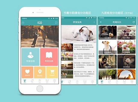 寵物社交app開發(fā),寵物社區(qū)app開發(fā)