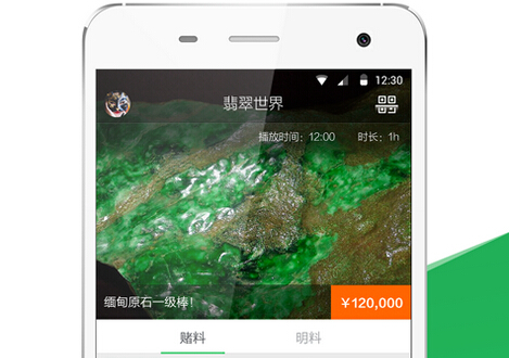 東方智啟科技APP開發(fā)-掌上翡翠APP開發(fā) 讓您坐擁第一手貨源