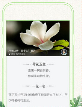 植物識別app開發(fā) 要多簡單就有多簡單