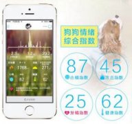 東方智啟科技APP開發(fā)-寵物智能穿戴軟件開發(fā)異軍突起