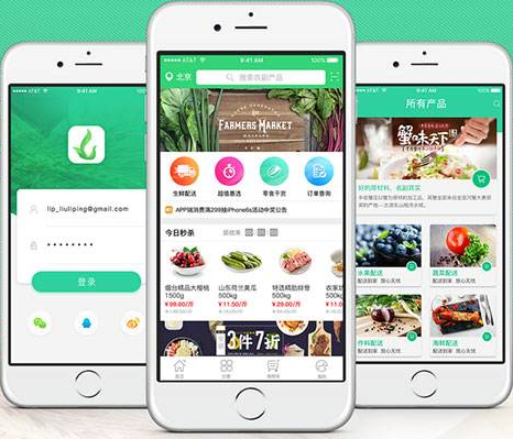 食材配送app開發(fā)到底有多大的商機(jī)