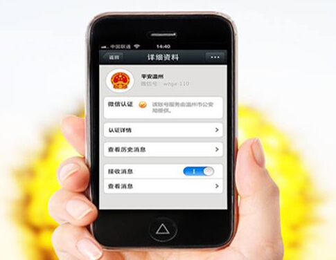 政務(wù)類app開發(fā)受到熱捧的原因是什么