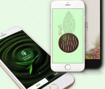 東方智啟科技APP開發(fā)-茶行業(yè)軟件開發(fā) 品牌與零售vv雙贏