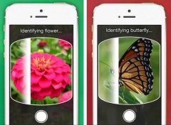東方智啟科技APP開發(fā)-植物識別APP開發(fā) 掃一掃就知道情況