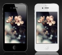 東方智啟科技APP開發(fā)-植物名稱查詢APP公司優(yōu)勢(shì)在哪