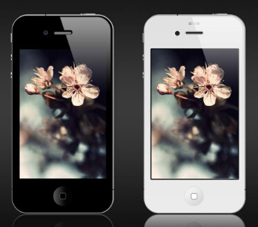 植物名稱查詢APP公司優(yōu)勢在哪