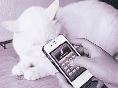 東方智啟科技APP開發(fā)-動物語言翻譯軟件開發(fā)借助AI需克服哪些困難