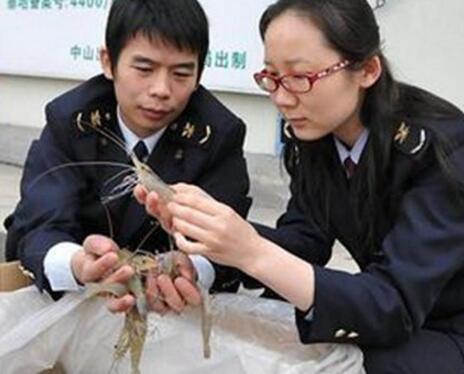 漁業(yè)養(yǎng)殖APP開發(fā)解決方案