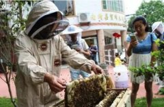 東方智啟科技APP開發(fā)-蜜蜂認(rèn)養(yǎng)APP開發(fā) 要的就是任性
