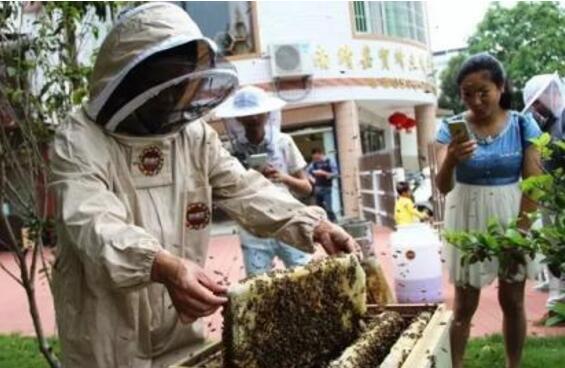 蜜蜂認養(yǎng)APP開發(fā) 要的就是任性