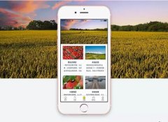 東方智啟科技APP開發(fā)-共享莊園APP開發(fā)實現(xiàn)定制化消費
