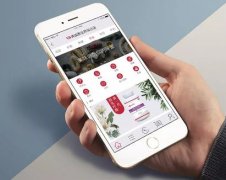 東方智啟科技APP開(kāi)發(fā)-返利商城app模式分析