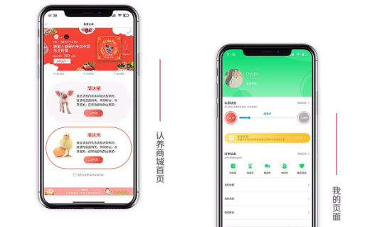 認(rèn)養(yǎng)監(jiān)控APP開(kāi)發(fā)