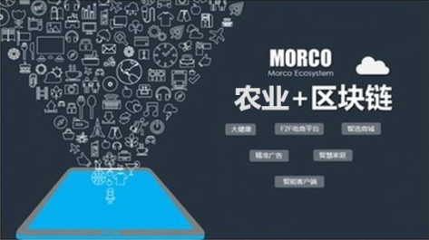 農(nóng)業(yè)區(qū)塊鏈APP開發(fā)