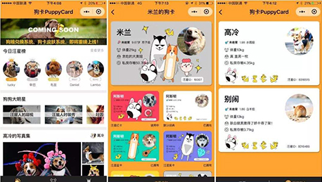 寵物小程序開發(fā)