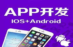 東方智啟科技APP開發(fā)-專業(yè)的APP開發(fā)公司大概多久能開發(fā)一個APP