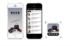 東方智啟科技APP開發(fā)-皮具APP開發(fā)案例及功能