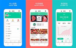 東方智啟科技APP開發(fā)-開發(fā)智能養(yǎng)牛APP  實(shí)現(xiàn)精準(zhǔn)養(yǎng)殖