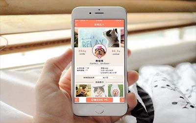 寵物電商APP