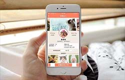 東方智啟科技APP開發(fā)-深度解讀寵物電商APP是否有市場