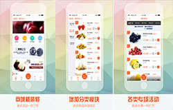 東方智啟科技APP開發(fā)-鮮直達(dá)app點評 鮮直達(dá)app如何