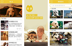 東方智啟科技APP開發(fā)-寵物主義APP點(diǎn)評 寵物主義APP如何