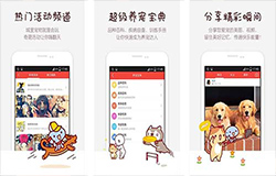 東方智啟科技APP開發(fā)-寵物APP開發(fā) 讓鏟屎官成為養(yǎng)寵專家