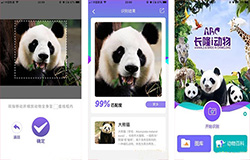 東方智啟科技APP開發(fā)-大熊貓認臉APP開發(fā) 告別臉盲癥