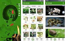 東方智啟科技APP開發(fā)-中醫(yī)館APP開發(fā)成功原因分析