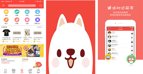 寵物市場app點(diǎn)評