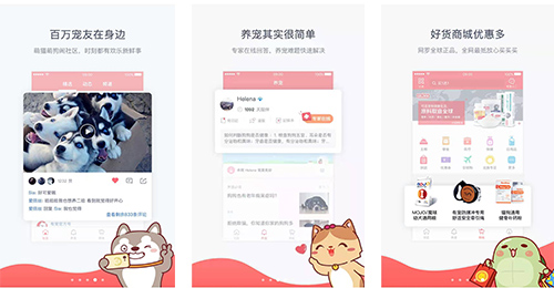 開發(fā)松鼠社區(qū)app